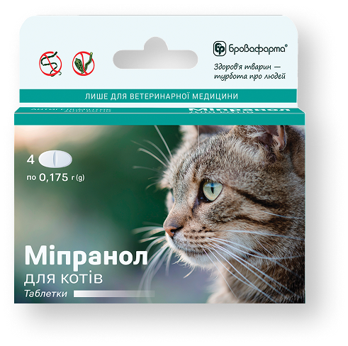 mepranol-product-cats-with-shadow-image