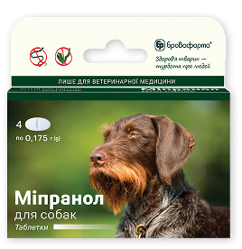 product-dog